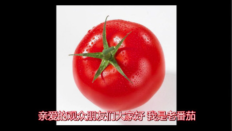 【老番茄】超猎奇日本街机游戏!!PULIRULA传说!